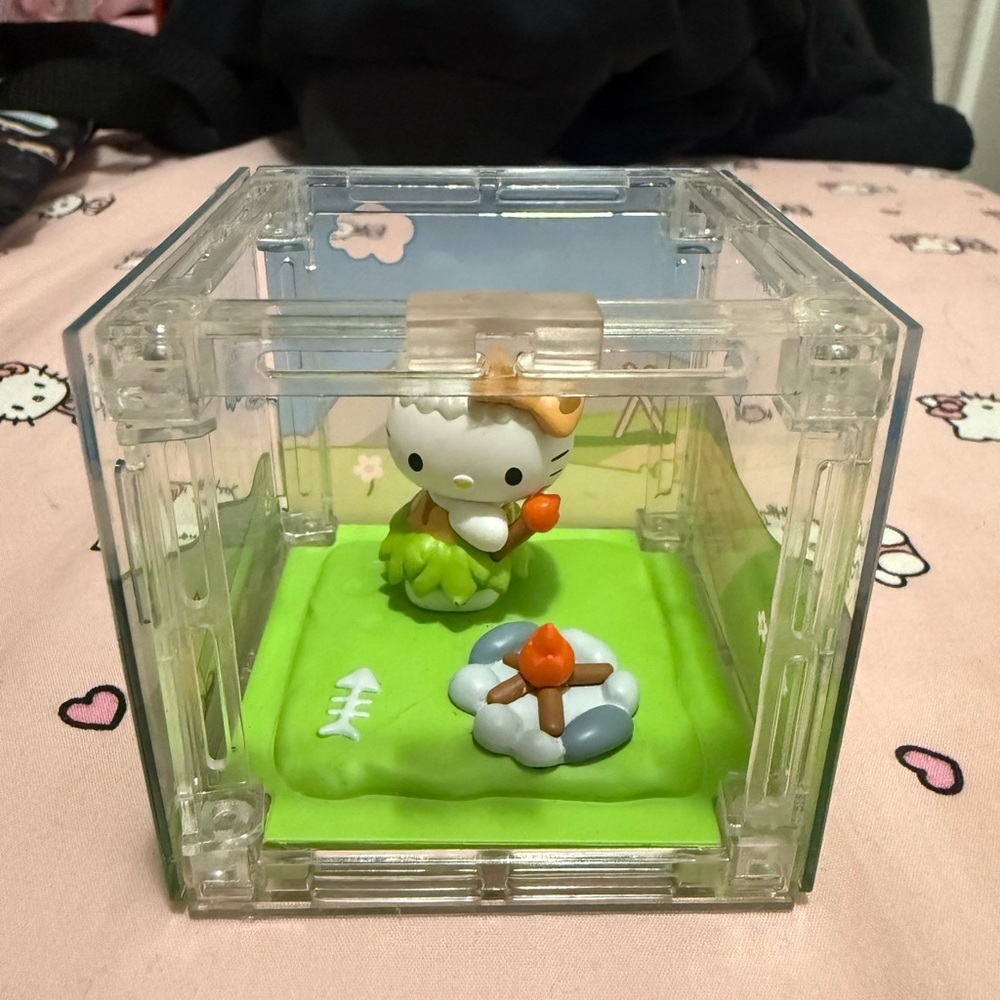 Hello Kitty Display Case